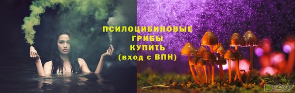 тгк Горняк